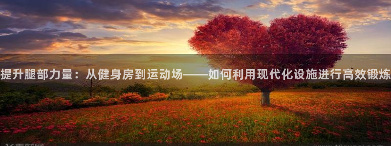 意昂体育4招商电话地址：提升腿部力量：从健身房到运动
