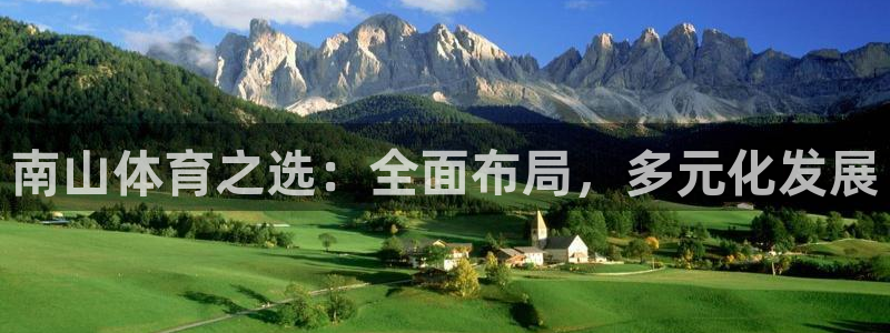 意昂4娱乐下载：南山体育之选：全面布局，多元化发展