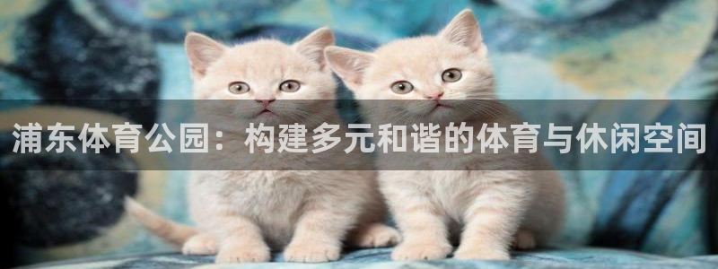 意昂体育4软件：浦东体育公园：构建多元和谐的体育与休