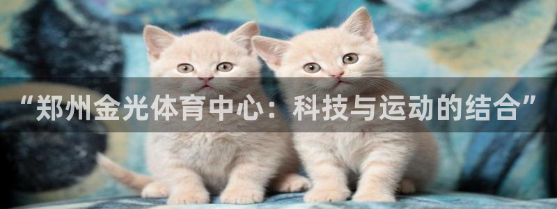 意昂4代理：“郑州金光体育中心：科技与运动的结合”