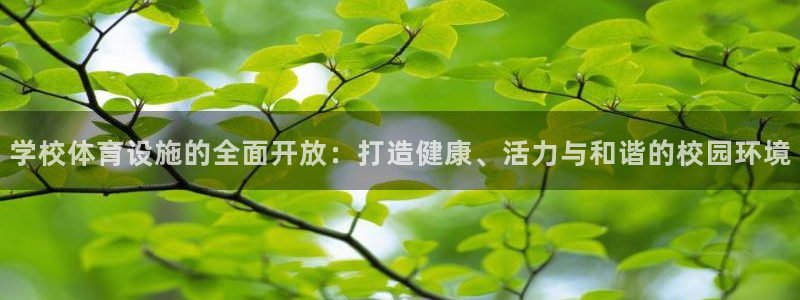 注册意昂4：学校体育设施的全面开放：打造健康、活力与