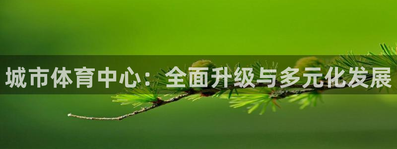 意昂体育4平台是正规平台吗安全吗：城市体育中心：全面