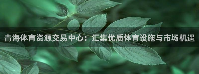 意昂体育4招商电话是多少号码：青海体育资源交易中心：
