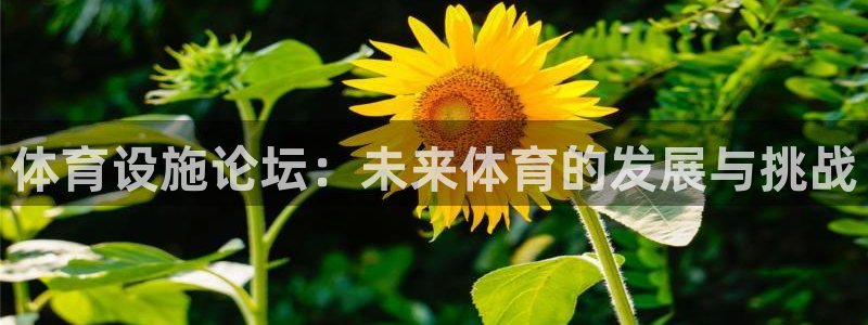 意昂4集团官网网址：体育设施论坛：未来体育的发展与挑战