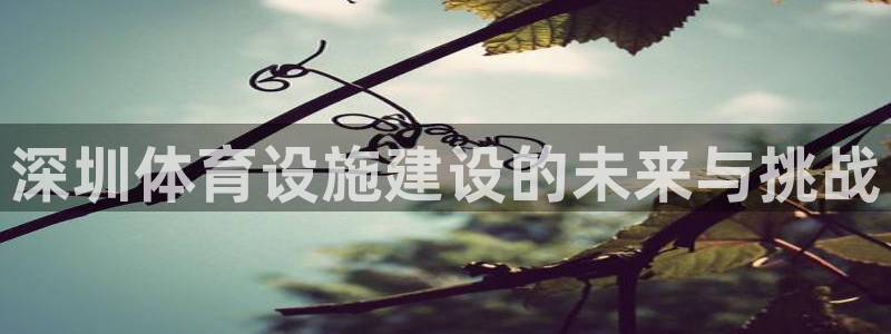 意昂体育4平台：深圳体育设施建设的未来与挑战