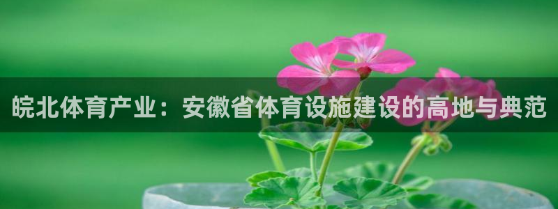 意昂4娱乐代理怎么样：皖北体育产业：安徽省体育设施建