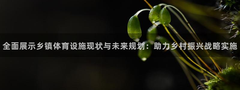 意昂体育4开户：全面展示乡镇体育设施现状与未来规划：助力乡村