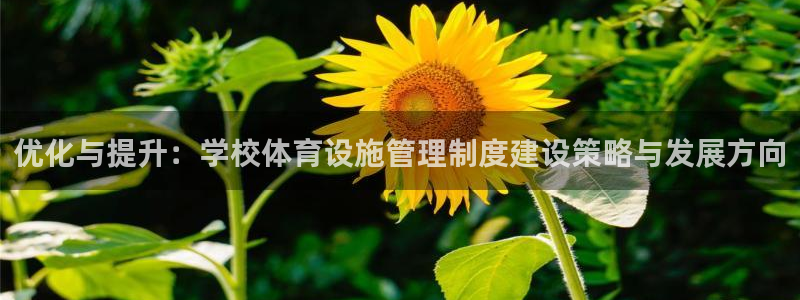 意昂体育4招商：优化与提升：学校体育设施管理制度建设
