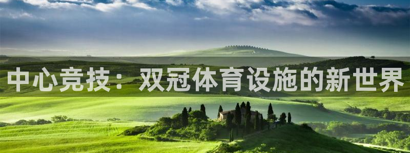 意昂体育4是干嘛的公司：中心竞技：双冠体育设施的新世