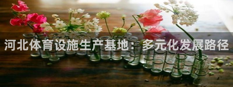德国意昂4集团：河北体育设施生产基地：多元化发展路径
