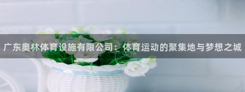 意昂集团官网：广东奥林体育设施有限公司：体育运动的聚