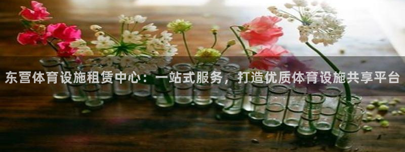 意昂4娱乐是那个系列的台子：东营体育设施租赁中心：一