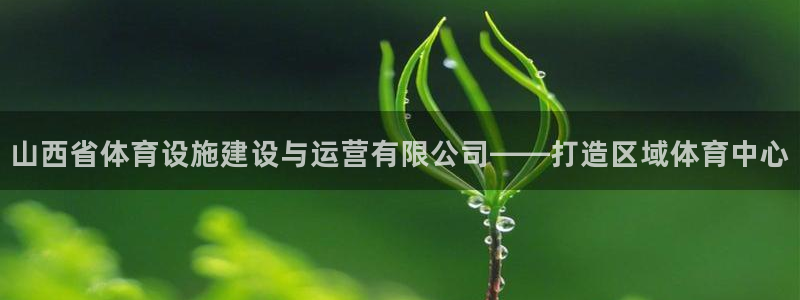 意昂体育4平台假的吗是真的吗吗：山西省体育设施建设与