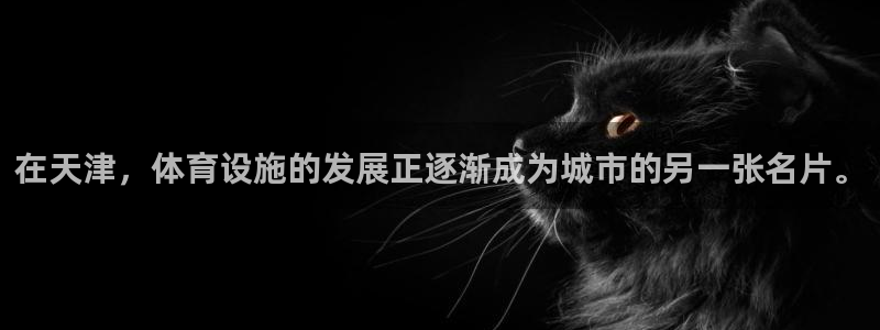 意昂体育4招商电话是多少：在天津，体育设施的发展正逐渐成为城