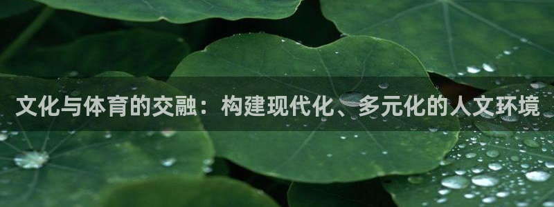 意昂体育4平台APP：文化与体育的交融：构建现代化、