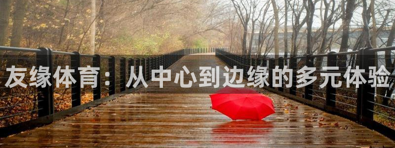 意昂体育4平台注册流程视频：友缘体育：从中心到边缘的