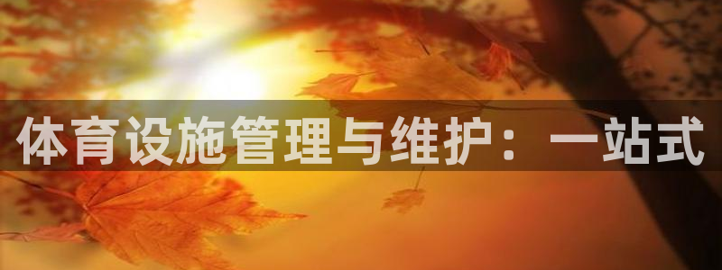 意昂4代理：体育设施管理与维护：一站式