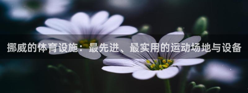 意昂体育4招商电话号码是多少号：挪威的体育设施：最先