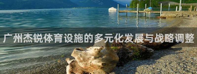 意昂4新能源：广州杰锐体育设施的多元化发展与战略调整