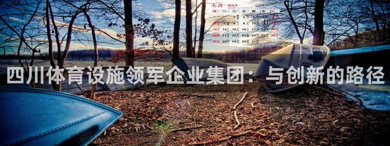 意昂体育4招商：四川体育设施领军企业集团：与创新的路径