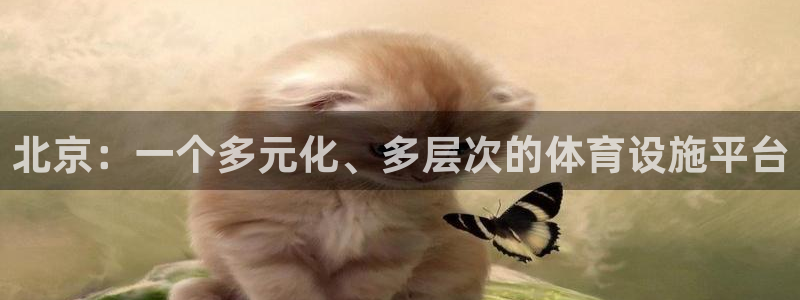 意昂体育4平台：北京：一个多元化、多层次的体育设施平台