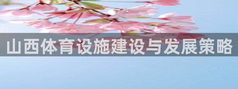 意昂4五金厂：山西体育设施建设与发展策略