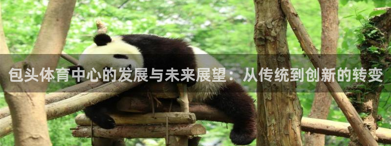 意昂4官方：包头体育中心的发展与未来展望：从传统到创新的转变