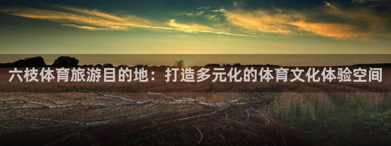 意昂集团官网：六枝体育旅游目的地：打造多元化的体育文化体验空