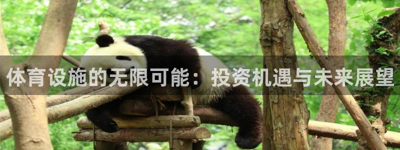 意昂4娱乐：体育设施的无限可能：投资机遇与未来展望