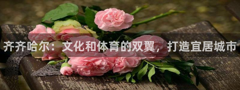 意昂平台体育：齐齐哈尔：文化和体育的双翼，打造宜居城市