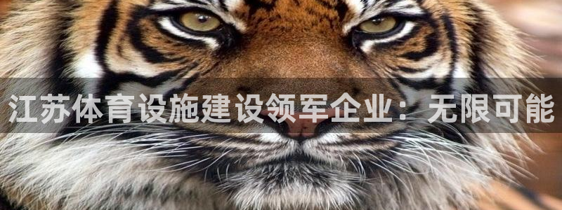意昂4娱乐网站：江苏体育设施建设领军企业：无限可能 