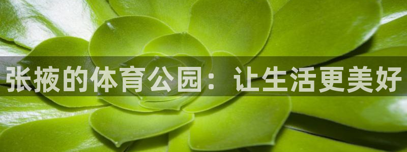 意昂4娱乐首页网站大全