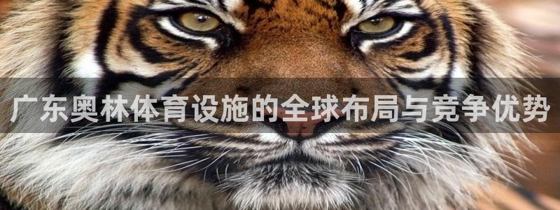 意昂体育4招商电话：广东奥林体育设施的全球布局与竞争