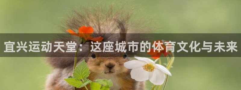 意昂体育4招商电话地址是多少：宜兴运动天堂：这座城市的体育文