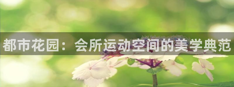 意昂4娱乐平台：都市花园：会所运动空间的美学典范