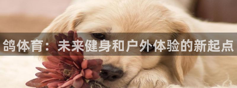 意昂体育4平台注册要钱吗是真的吗：鸽体育：未来健身和户外体验