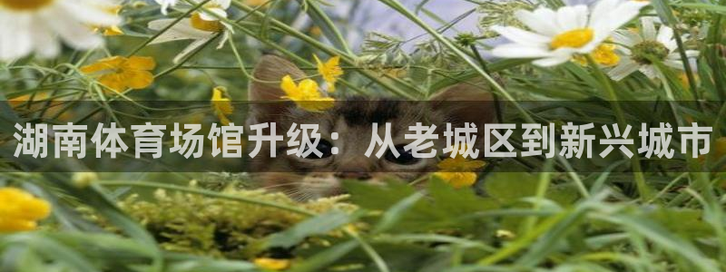 意昂体育4招商：湖南体育场馆升级：从老城区到新兴城市