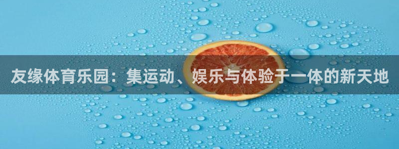 意昂体育4平台注册要钱吗安全吗：友缘体育乐园：集运动