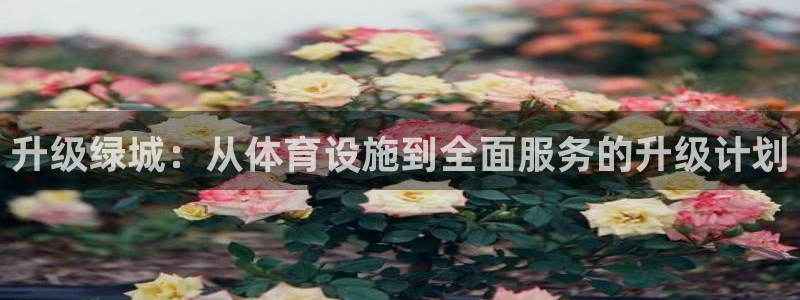 意昂体育4平台注册：升级绿城：从体育设施到全面服务的