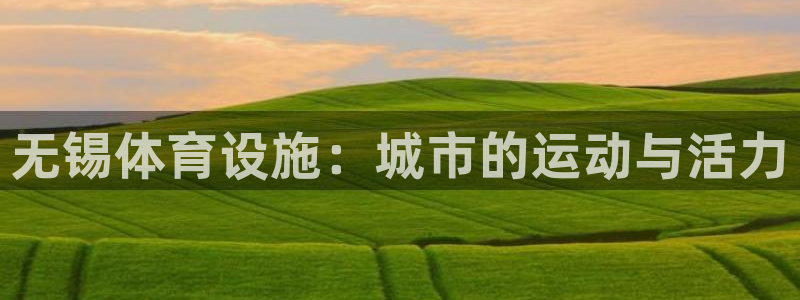 意昂平台体育：无锡体育设施：城市的运动与活力