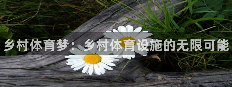 意昂4集团：乡村体育梦：乡村体育设施的无限可能