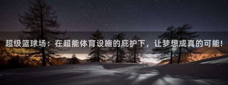 意昂体育4平台注册：超级篮球场：在超能体育设施的庇护