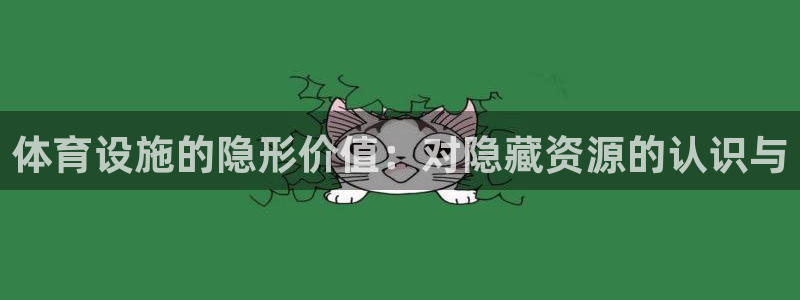 注册意昂4：体育设施的隐形价值：对隐藏资源的认识与