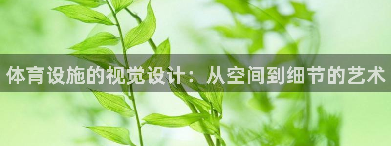 意昂4新能源：体育设施的视觉设计：从空间到细节的艺术