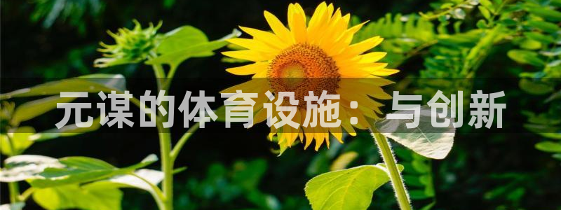 意昂体育4招商电话是多少啊：元谋的体育设施：与创新