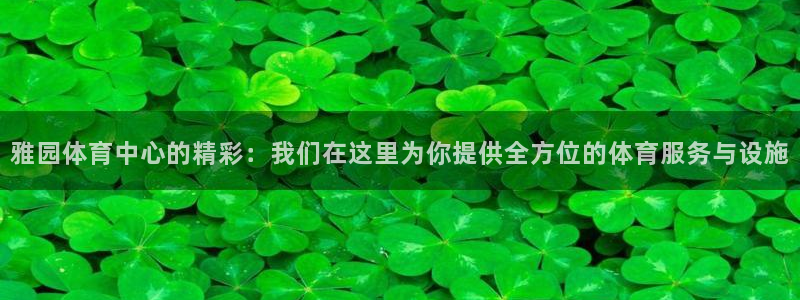 意昂4神州：雅园体育中心的精彩：我们在这里为你提供全方位的体