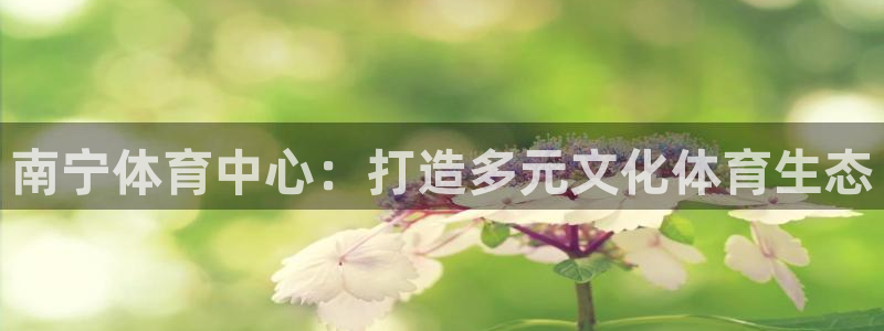 意昂4娱乐网站：南宁体育中心：打造多元文化体育生态