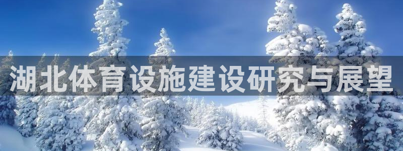 意昂体育4平台注册：湖北体育设施建设研究与展望 