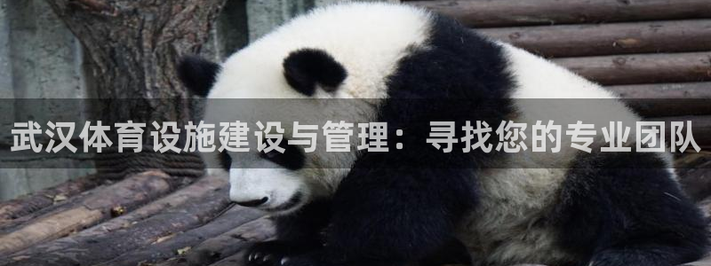 意昂体育4平台假的吗是真的吗吗