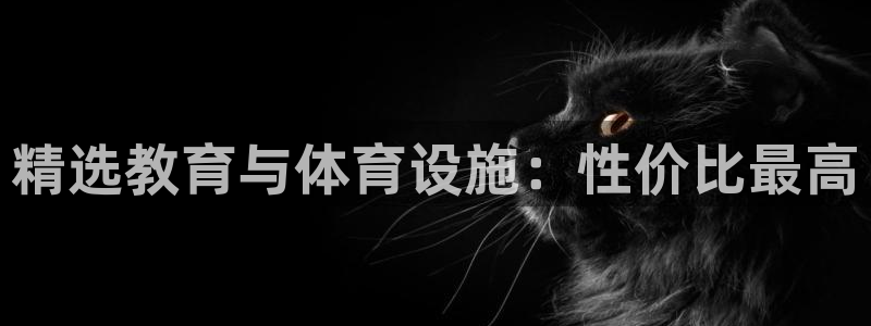 海南意昂体育4：精选教育与体育设施：性价比最高